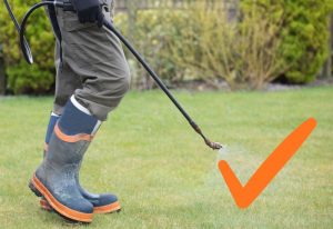 homme qui désherbe sont jardin