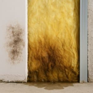 laine de verre humide derrière le placo